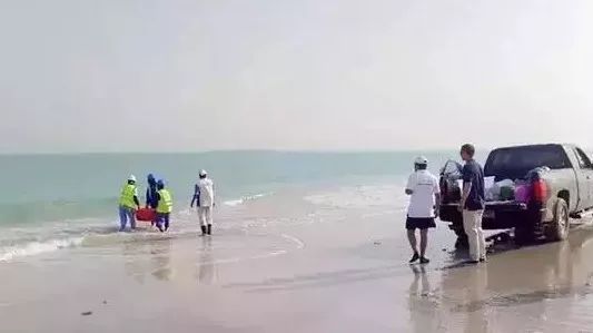 头等玩家官网-相信品牌力量