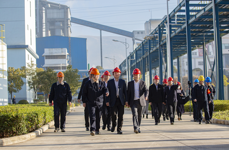 头等玩家官网-相信品牌力量