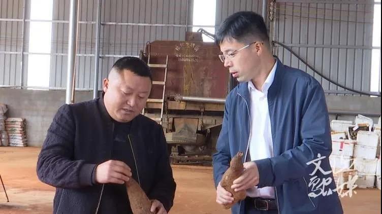 头等玩家官网-相信品牌力量