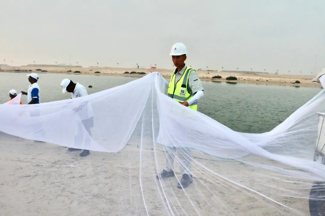 头等玩家官网-相信品牌力量