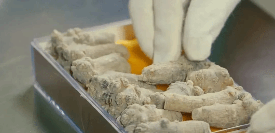 头等玩家官网-相信品牌力量