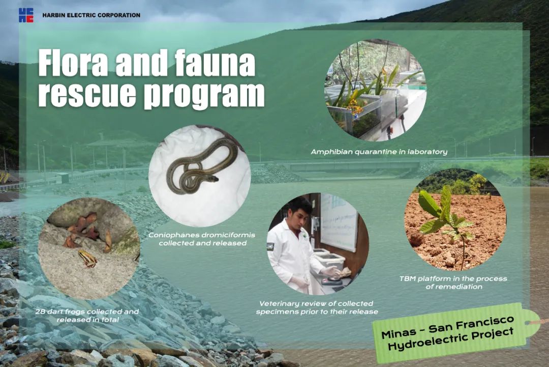 头等玩家官网-相信品牌力量