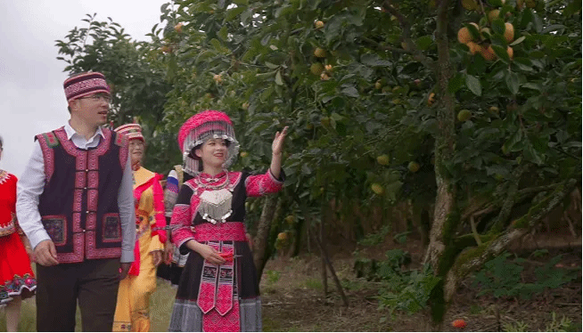 头等玩家官网-相信品牌力量