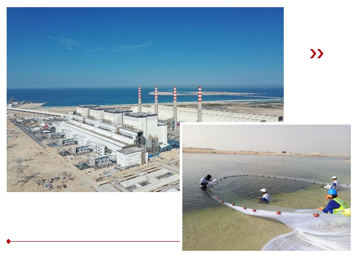 头等玩家官网-相信品牌力量