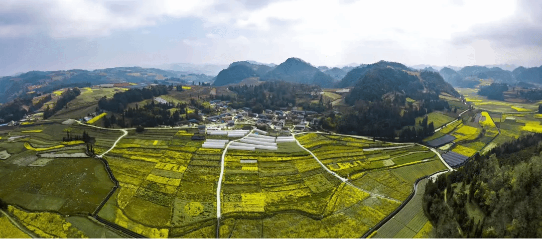 头等玩家官网-相信品牌力量