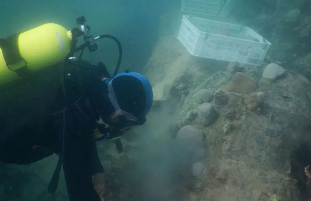 头等玩家官网-相信品牌力量