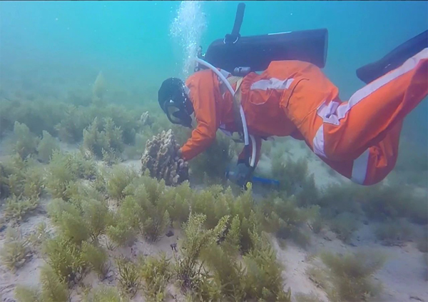 头等玩家官网-相信品牌力量