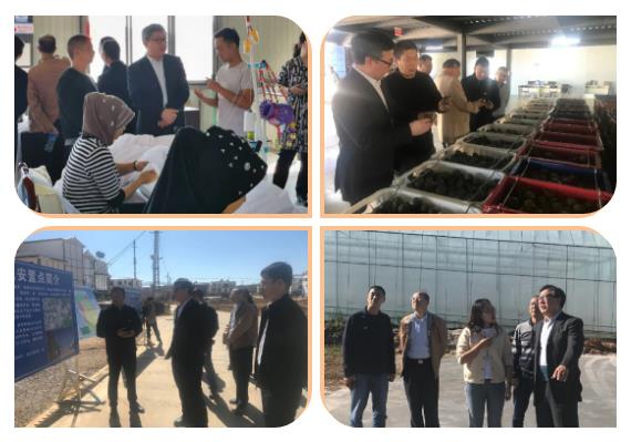 头等玩家官网-相信品牌力量