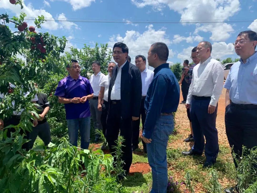 头等玩家官网-相信品牌力量