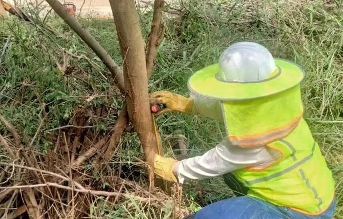 头等玩家官网-相信品牌力量