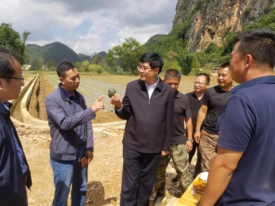 头等玩家官网-相信品牌力量