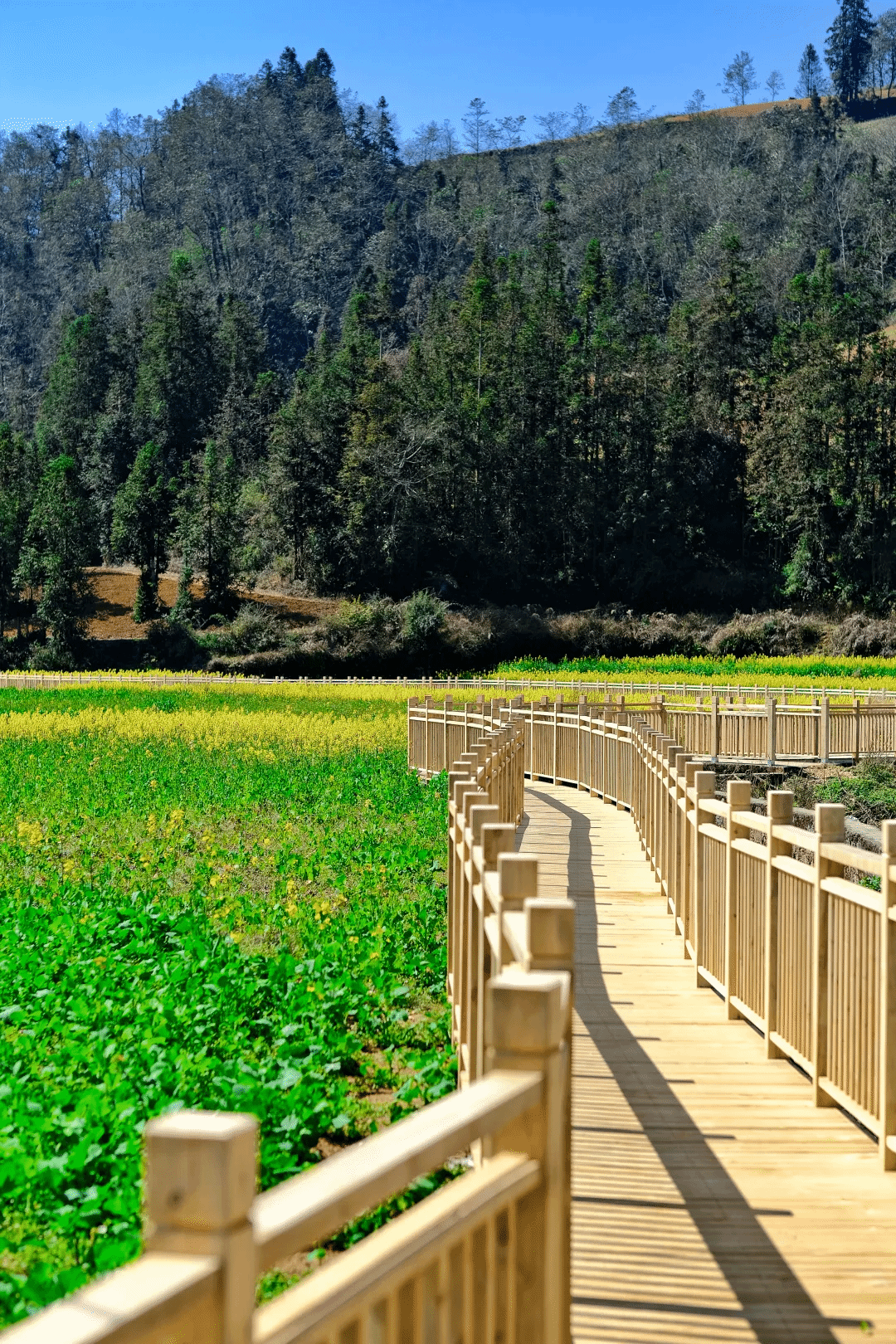 头等玩家官网-相信品牌力量