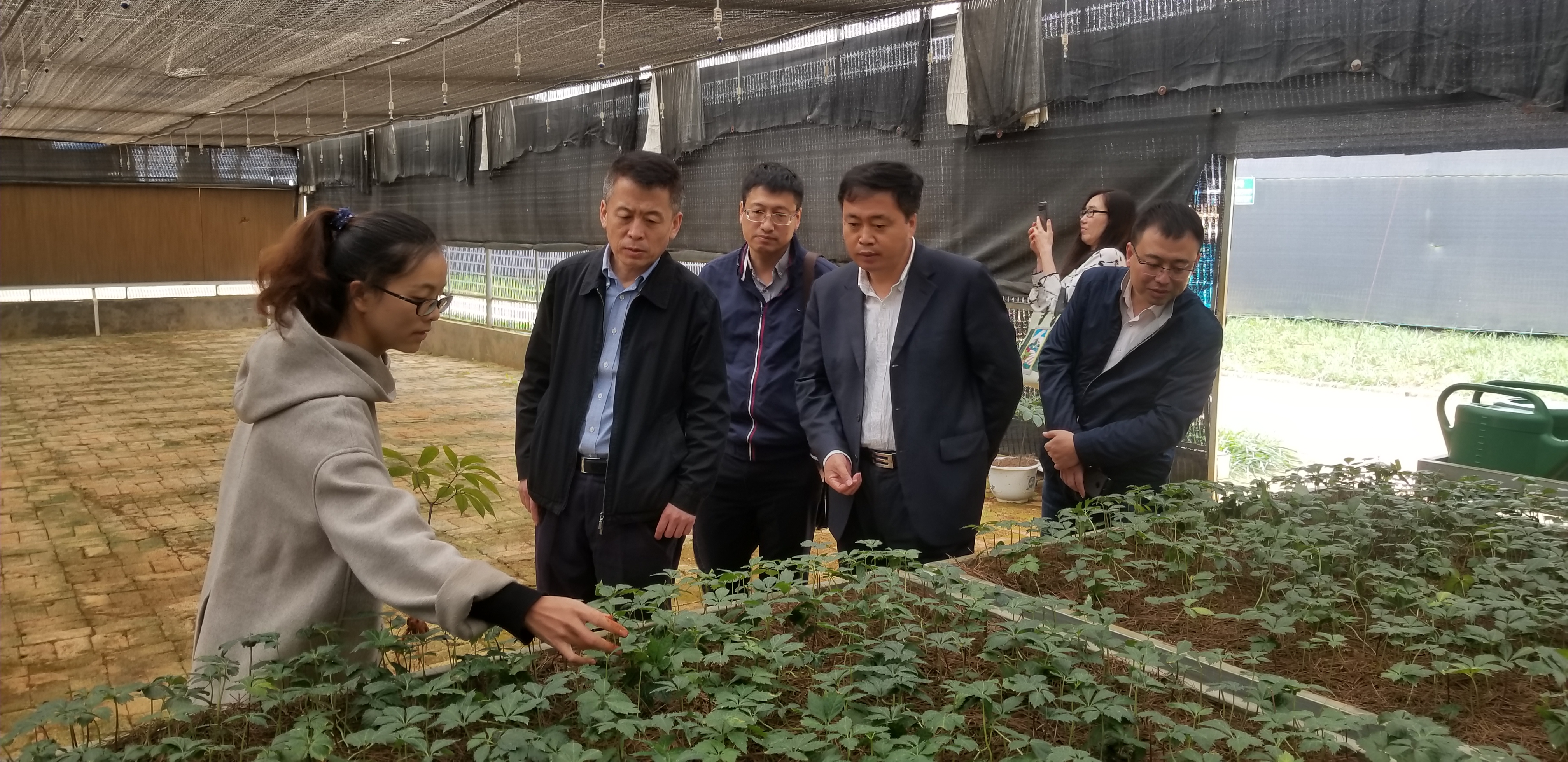 头等玩家官网-相信品牌力量