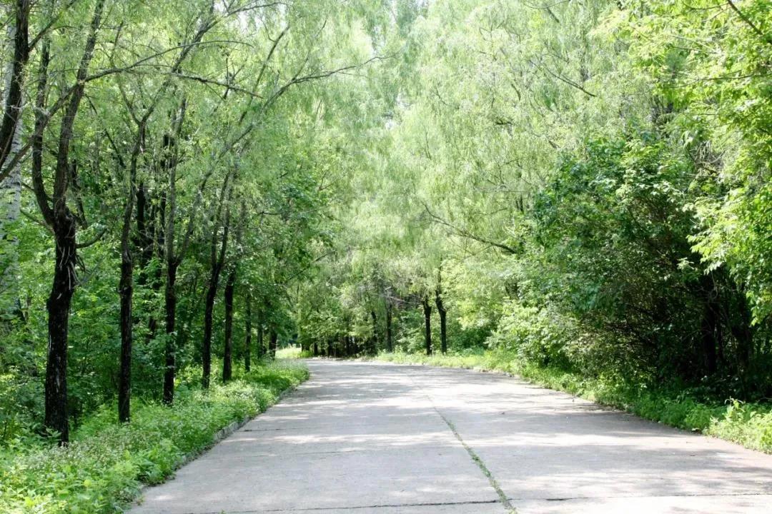 头等玩家官网-相信品牌力量