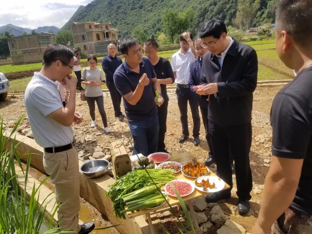 头等玩家官网-相信品牌力量