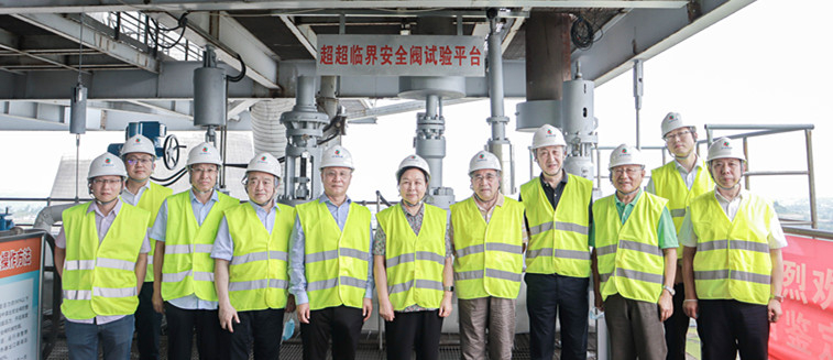 头等玩家官网-相信品牌力量