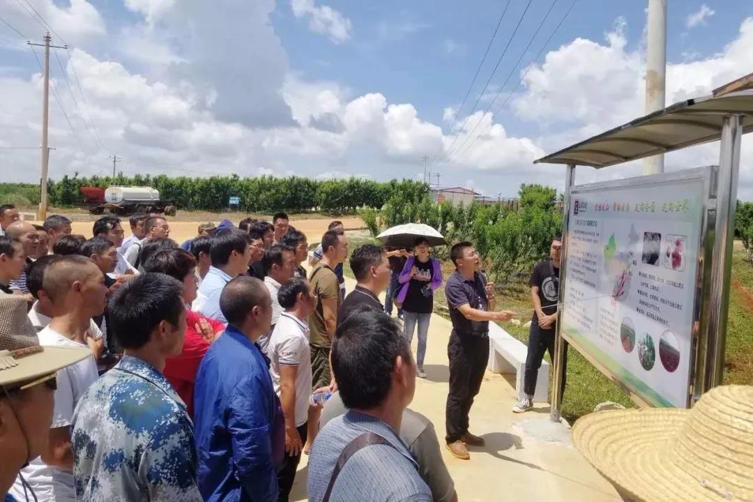 头等玩家官网-相信品牌力量