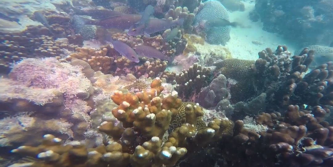 头等玩家官网-相信品牌力量