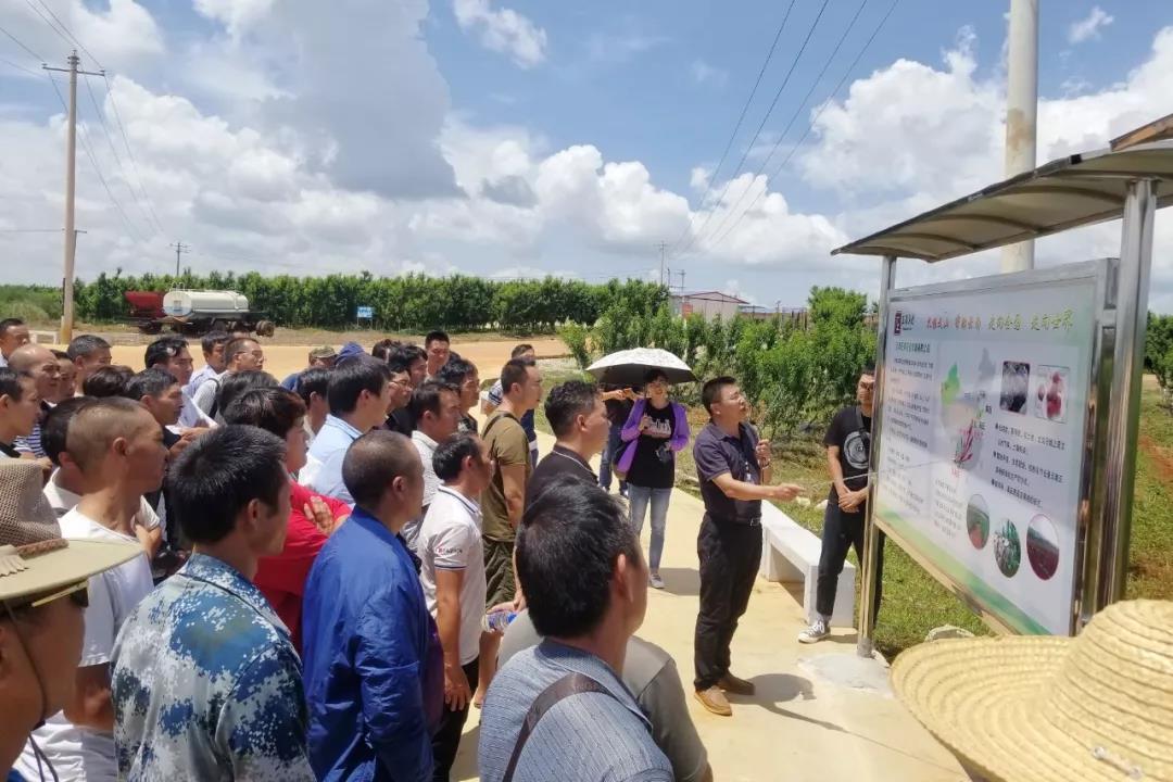 头等玩家官网-相信品牌力量