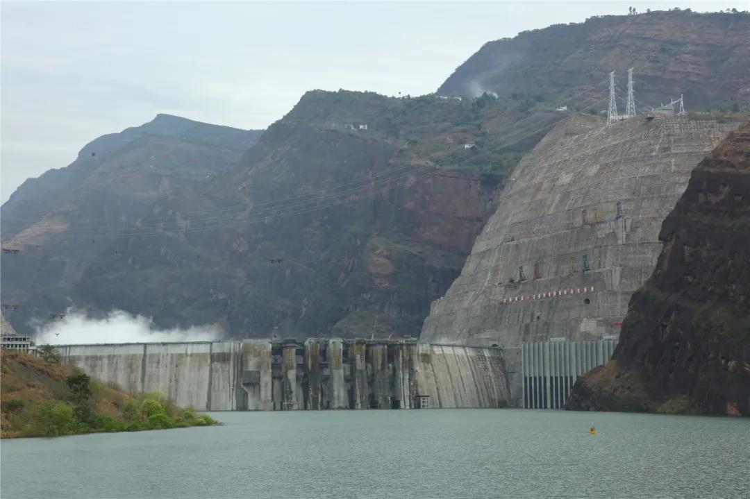 头等玩家官网-相信品牌力量