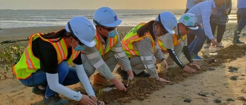 头等玩家官网-相信品牌力量