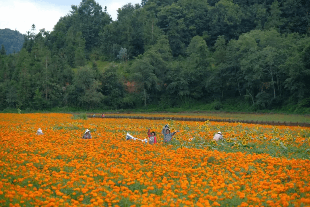 头等玩家官网-相信品牌力量