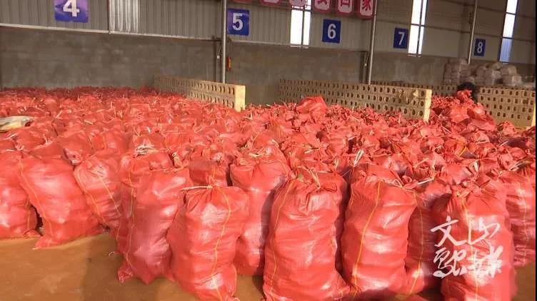 577C3BD534185A14B15292E6C30_52225509_DDE7.jpg?e=