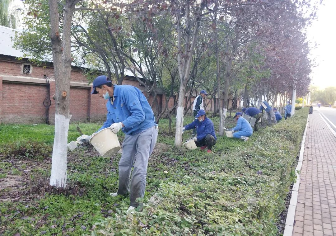 头等玩家官网-相信品牌力量