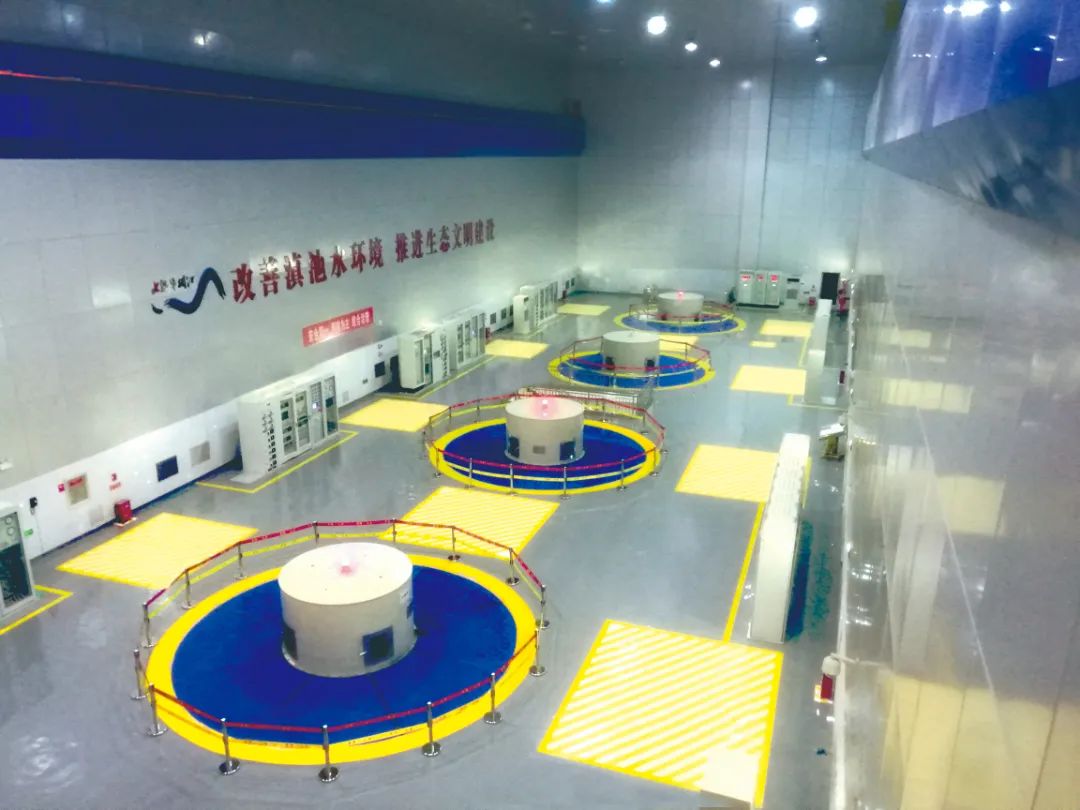 头等玩家官网-相信品牌力量