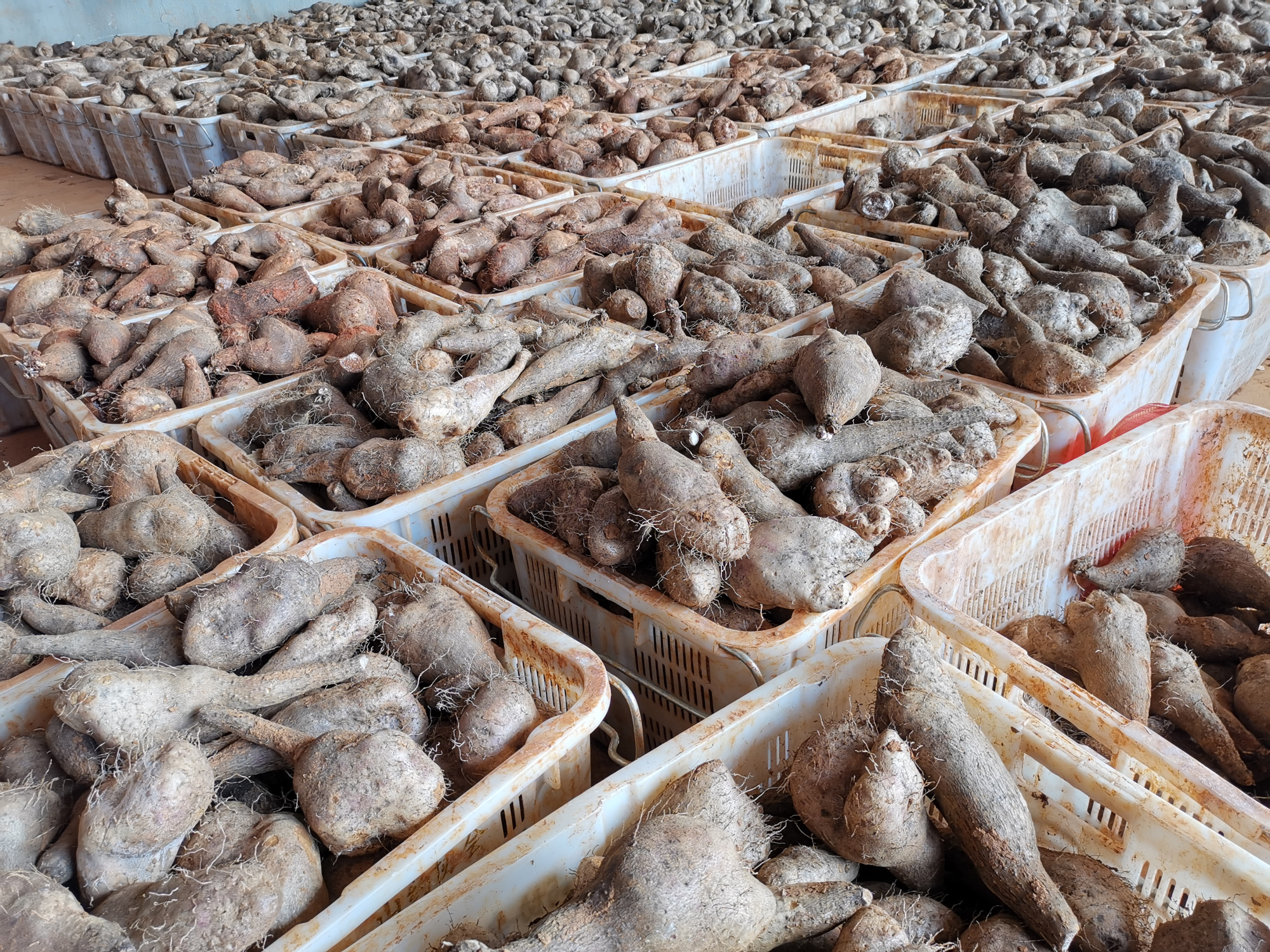 头等玩家官网-相信品牌力量