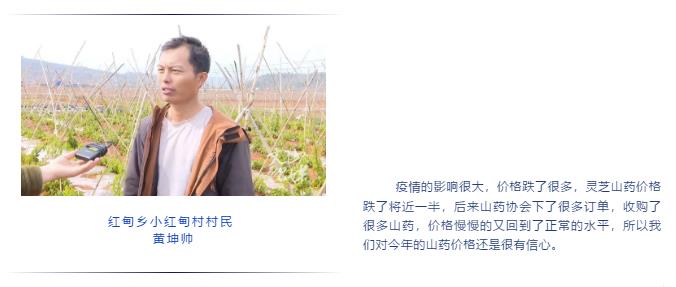 头等玩家官网-相信品牌力量